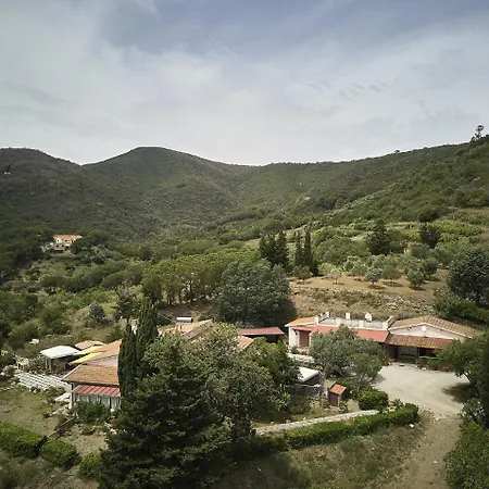 Soldanella * קאפוליברי